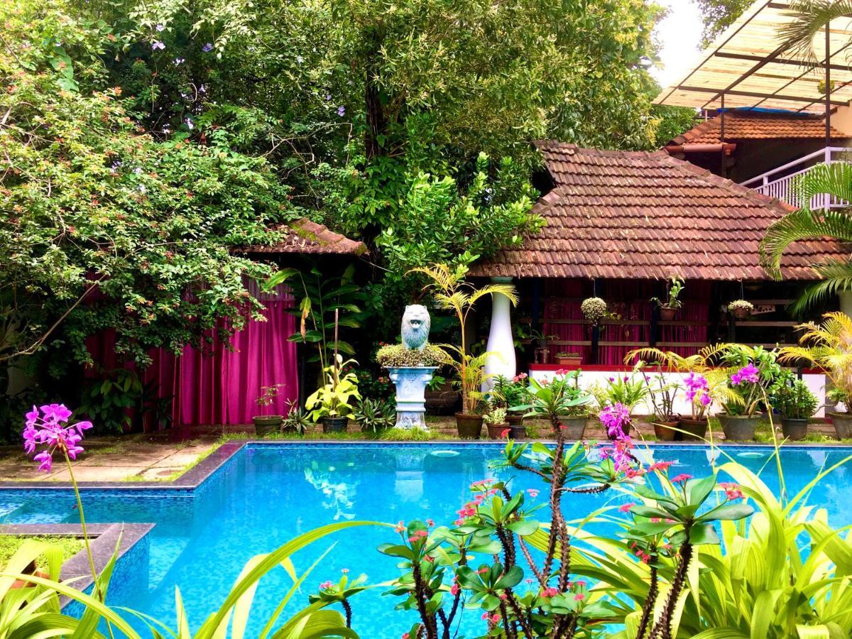 Marari Dreamz Homestay 마라리쿨람 외부 사진